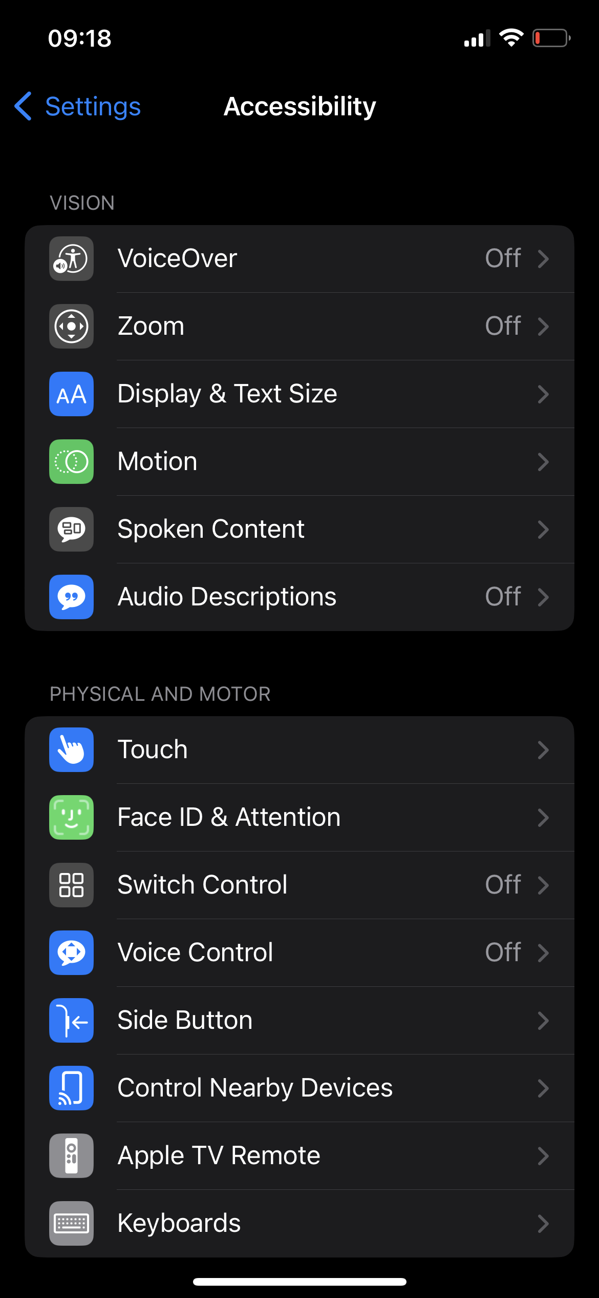 Screenshot of VoiceOver menu on iPhone.