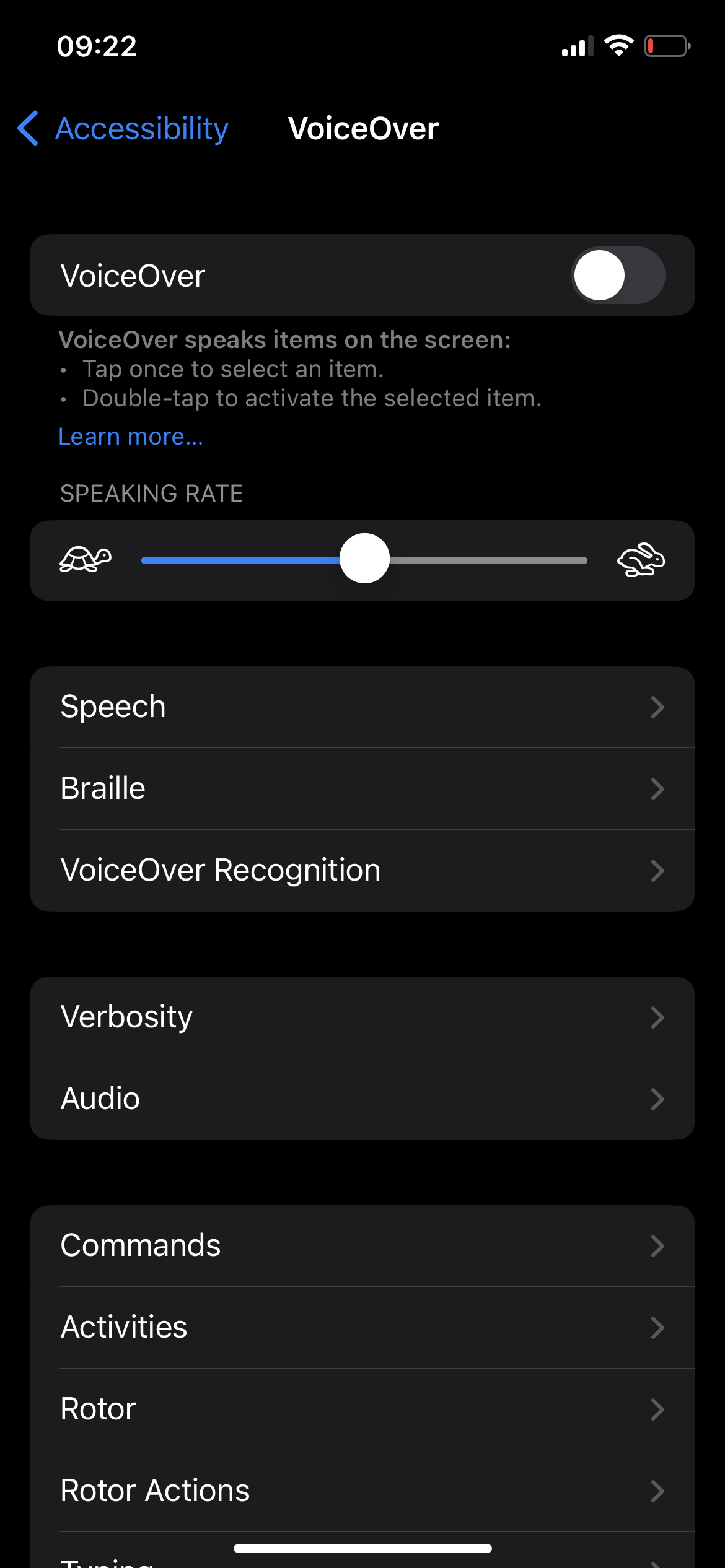 Screenshot of VoiceOver menu features. 