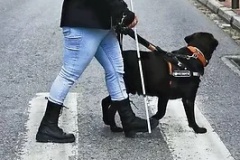 Lara guide dog team
